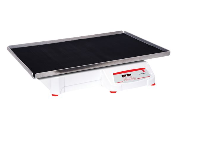 美國奧豪斯，OHAUS，脫色搖床，回旋振蕩器，圓周振蕩器，大負載圓周式搖床，SHHD6825DG