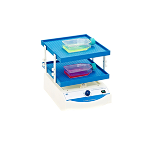 其林貝爾TS-8S(雙層)轉(zhuǎn)移脫色搖床搖床新款雙層實(shí)驗(yàn)室搖床振蕩器混勻儀振蕩混勻臺(tái)式小型