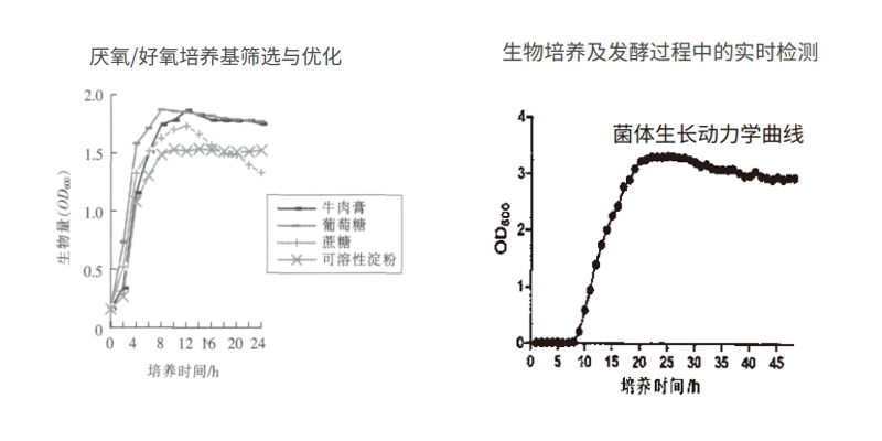 過程安全，結果精準